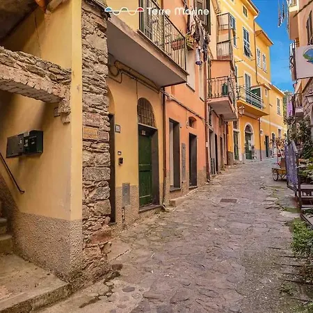 Basilico E Papaja, Terre Marine