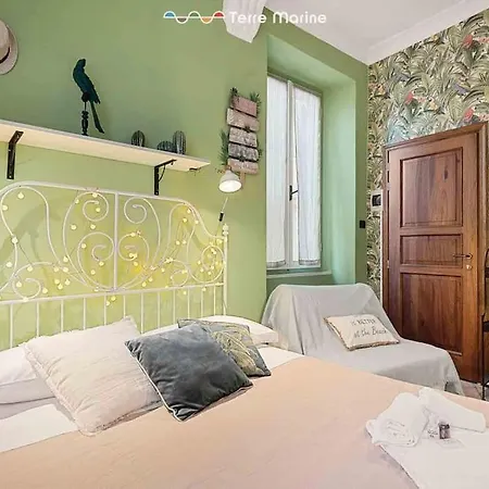 Basilico E Papaja, Terre Marine 蒙特罗索阿尔马雷