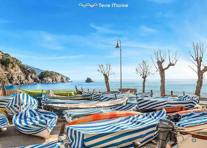 アパート Basilico E Papaja, Terre Marine