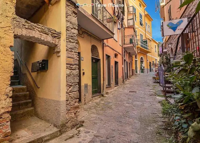 Basilico E Papaja, Terre Marine